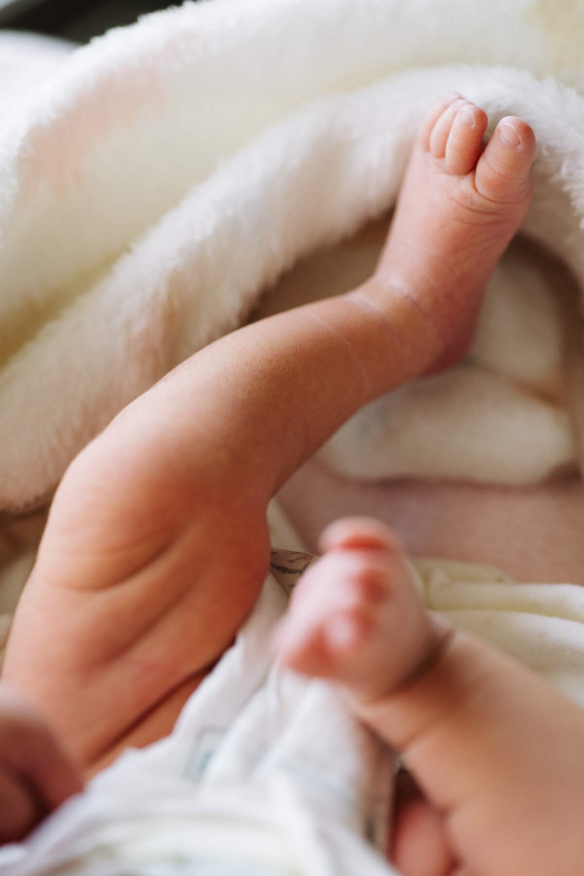 gifu-aichi-newborn-photo-24