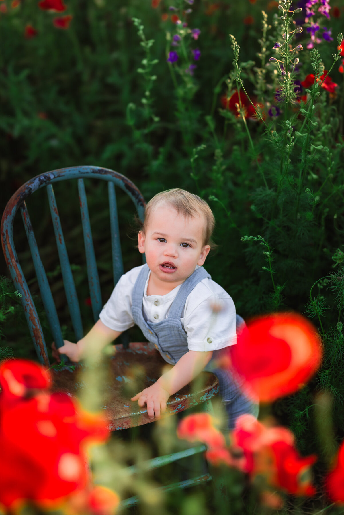 raleigh-family-photographer-31