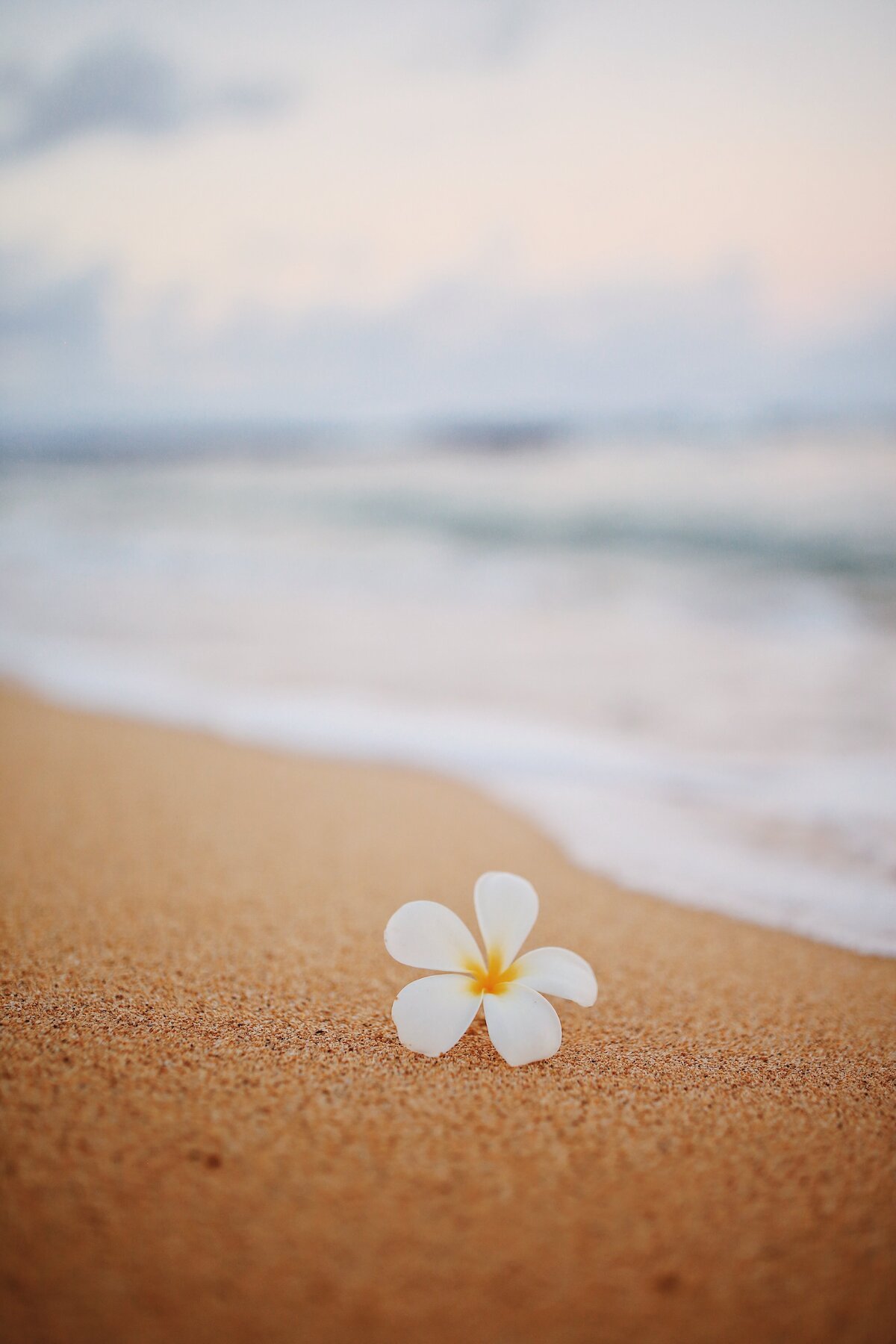 emily-shirron-SOVKKKaZoXA-unsplash