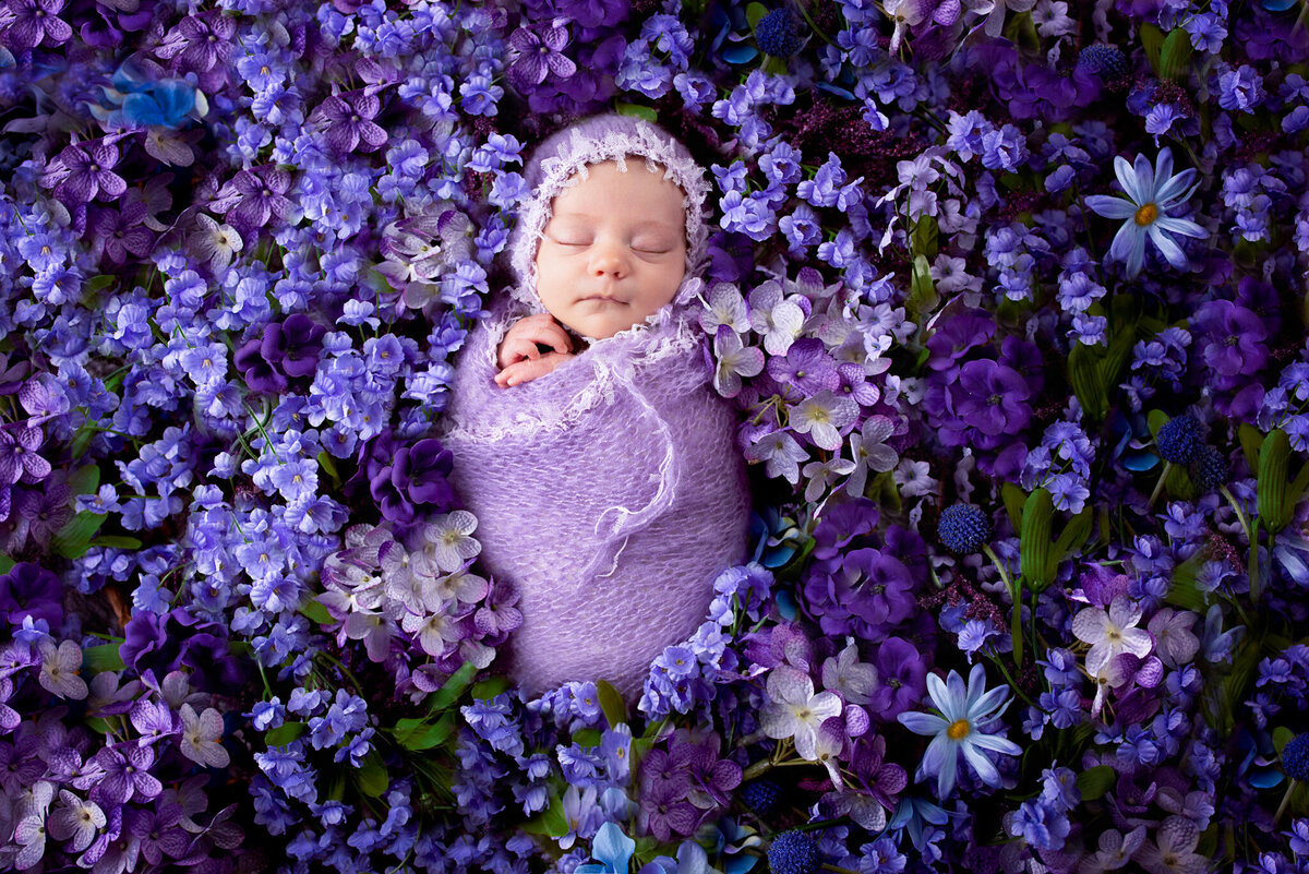 Newborn nestled in a lavender-themed setup, lying on soft purple petals. Captured in Overland Park, Kansas, this serene scene is perfect for families seeking colorful and peaceful newborn photography in the Kansas City area.