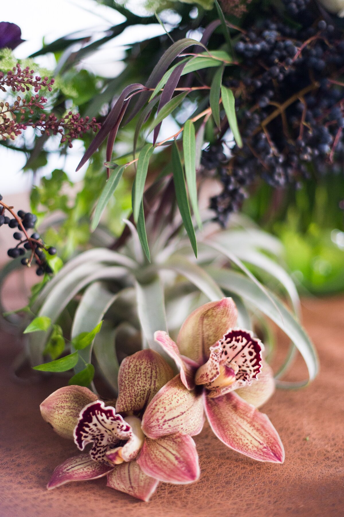 leila_brewster_photography-18