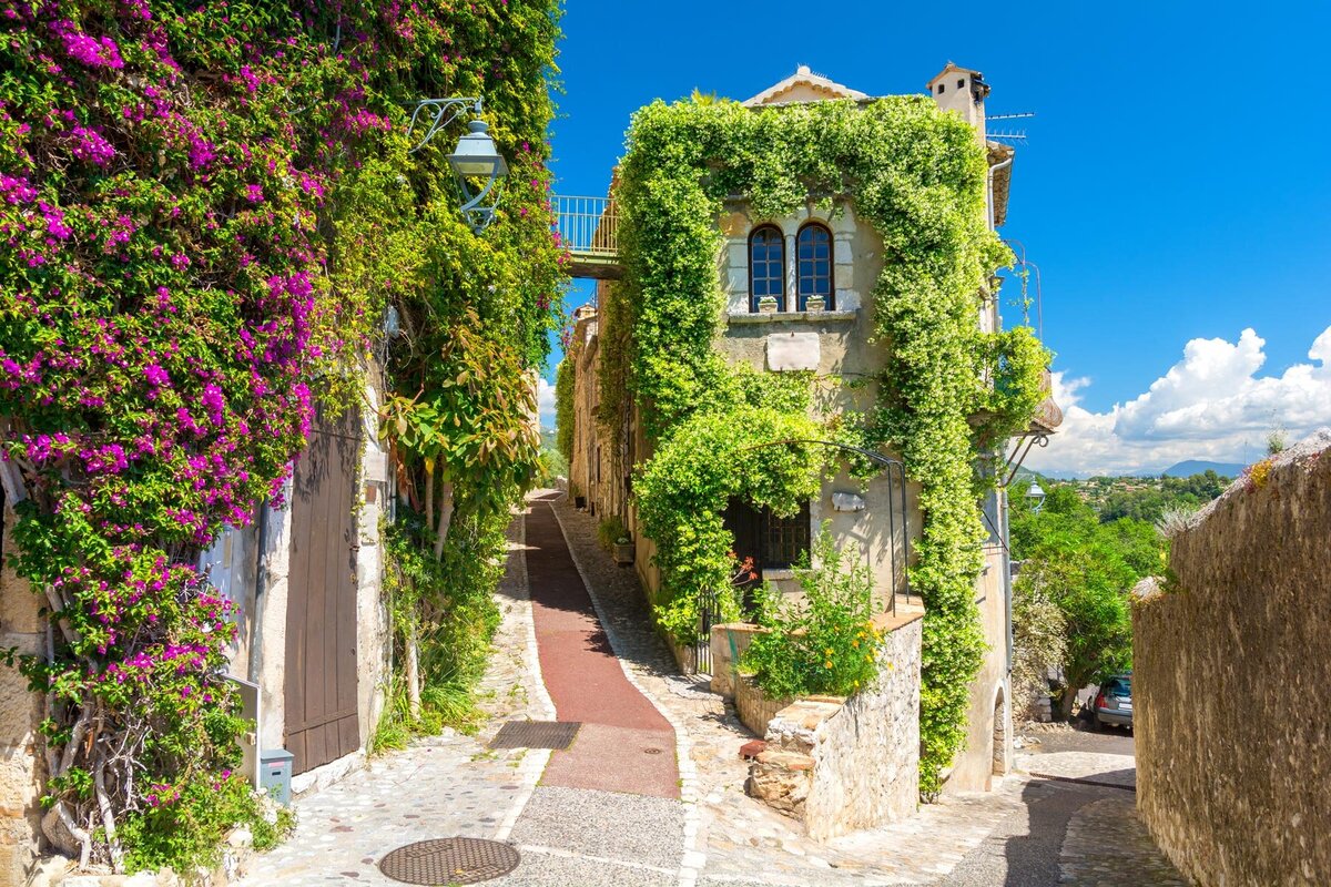 A narrow cobblestone street in a quaint village, lined with stone buildings covered in lush green vines and purple flowers. The sky is bright blue with scattered clouds, and the area is bathed in warm sunlight.