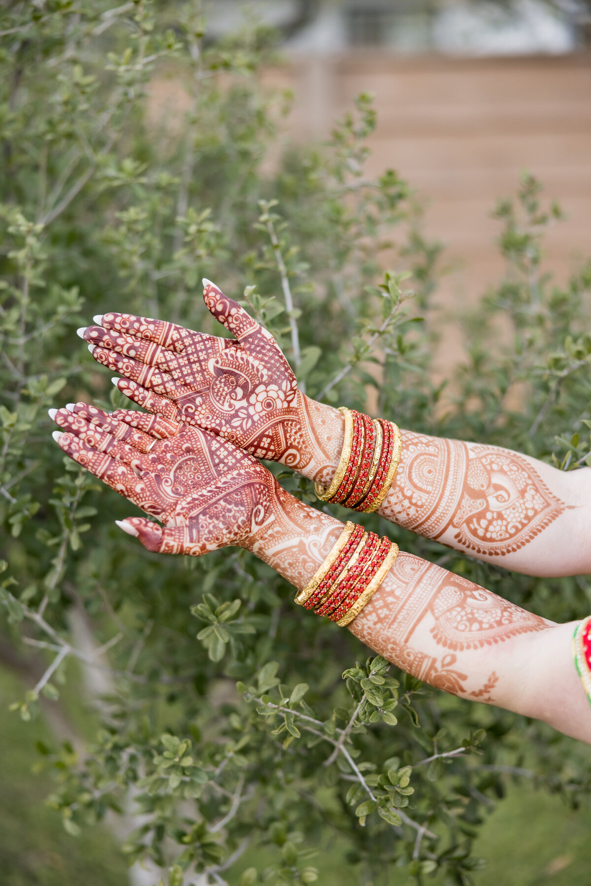 Indian-wedding-photo