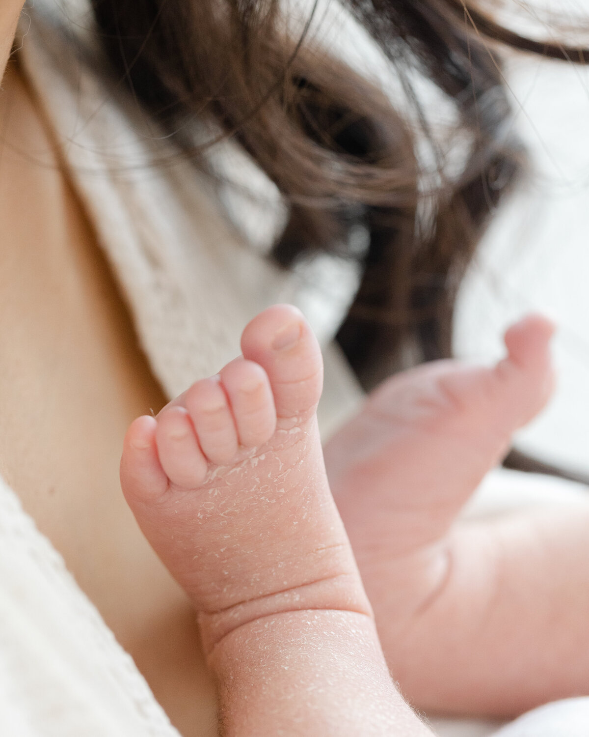Philadelphia newborn portraits - 6