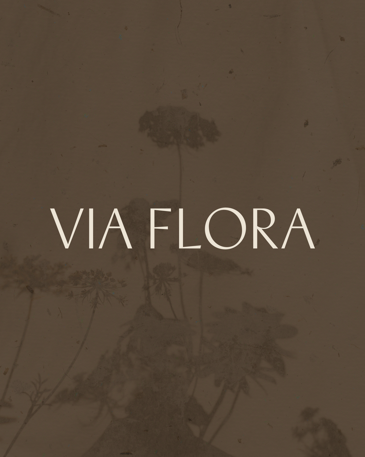 Via Flora Graphics-03