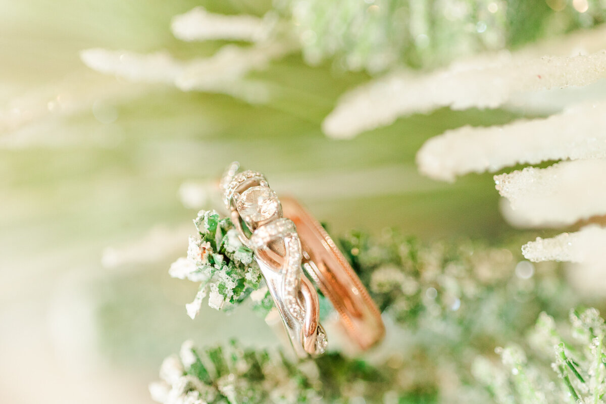 Wedding Rings on snowy pine branch