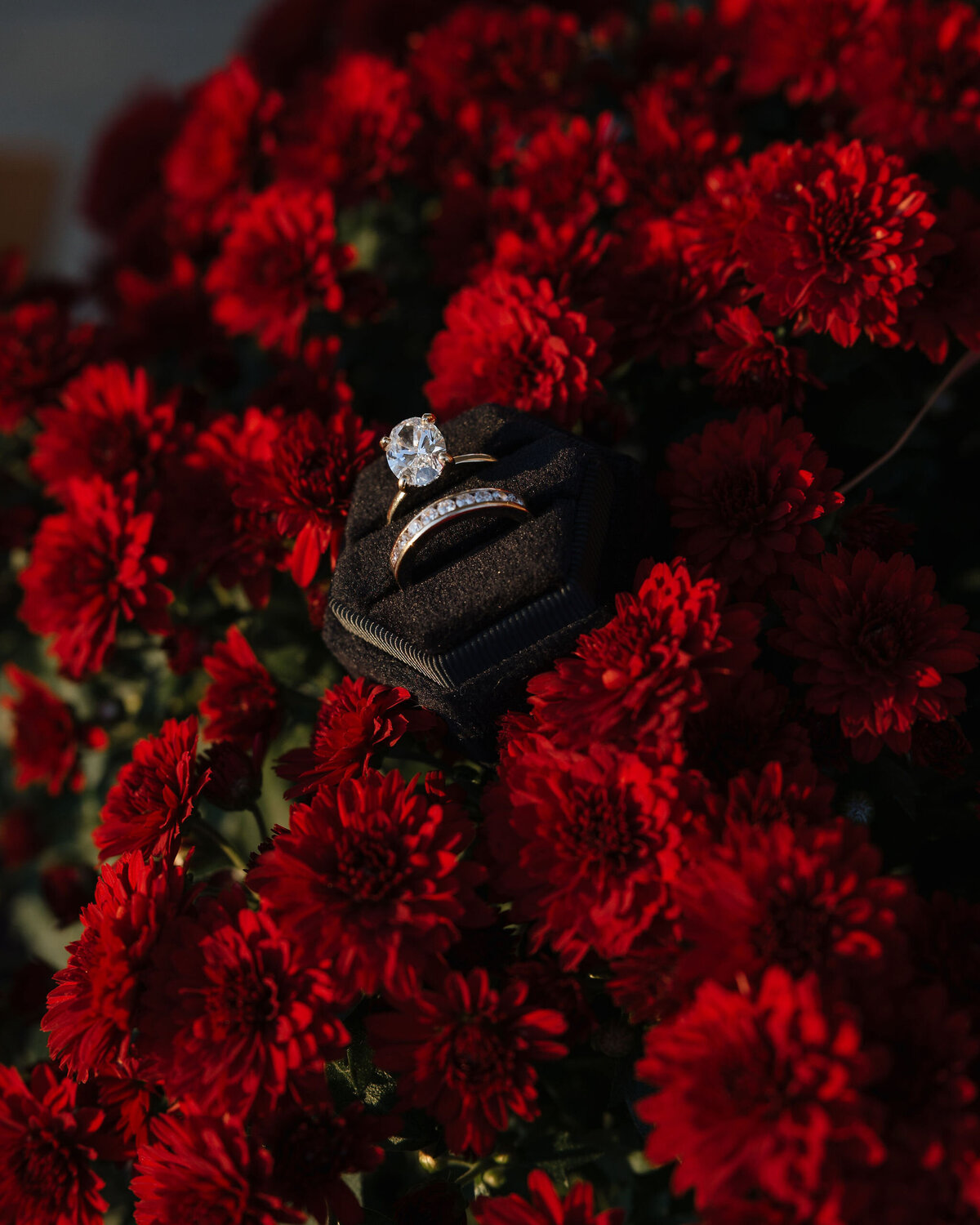 Hannah-Brian-Wedding-172419