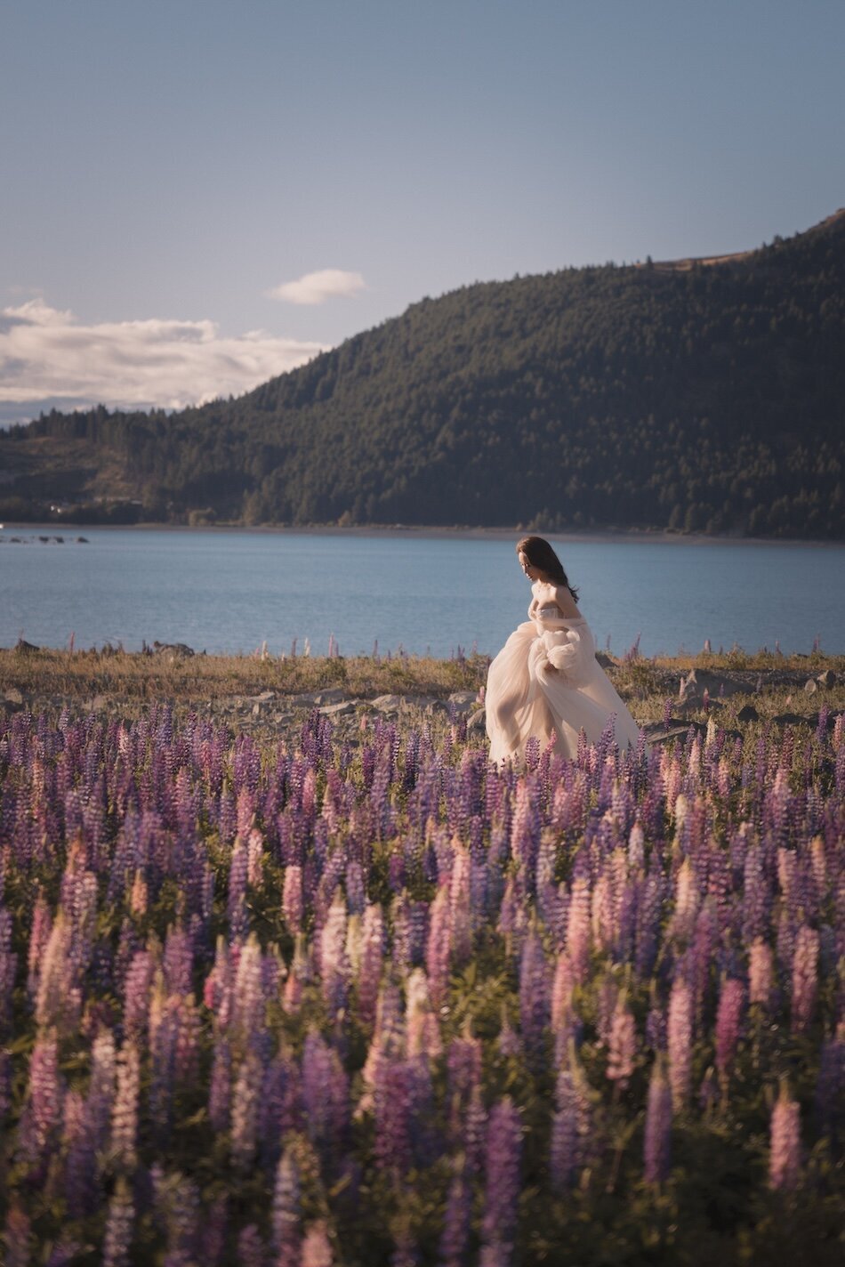 Pre-wedding photoshoot, the lupins, Lake Tekapo. Galia Lahav Haute Couture gown.