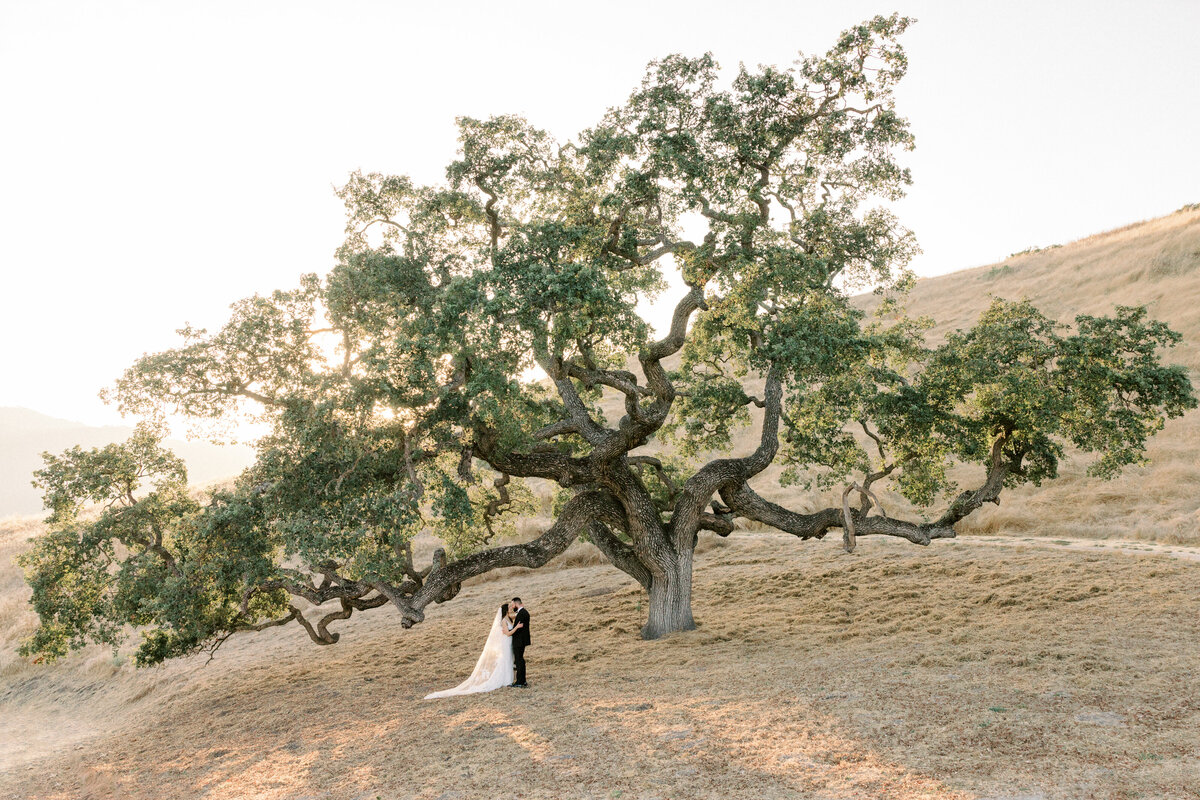 Timeless Wedding Photography in Northern California - Napa - Bir Sur - Lake Tahoe - Carmel Valley - Carlie Statsky Photgraphy -  229
