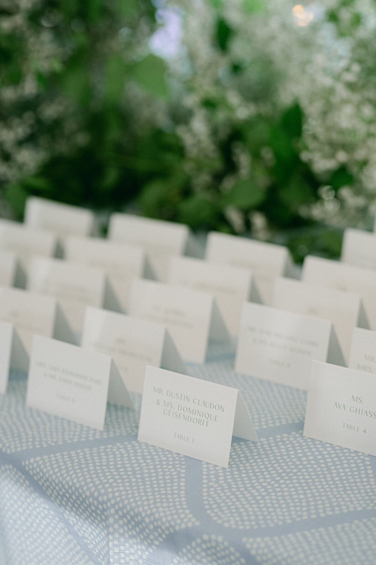 Lexi&SheenWedding-679