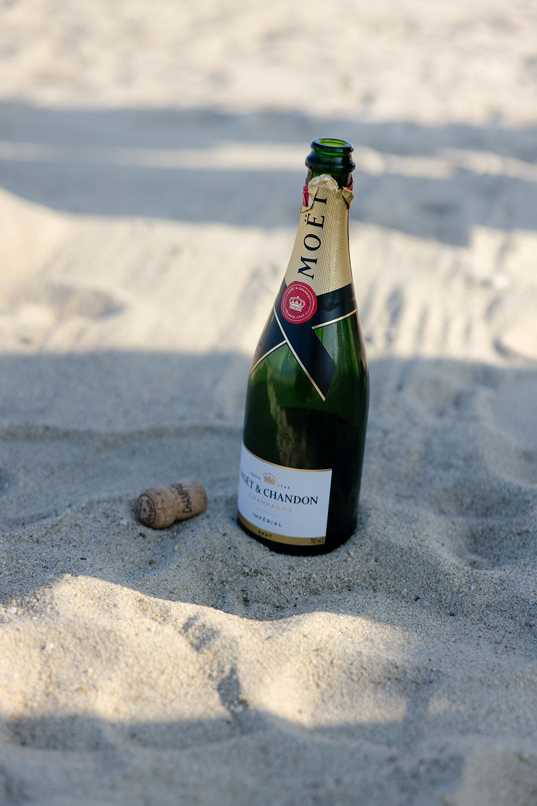 surprise-beach-proposal-photographer-nyc-wedding-photographer-love-melissa-192