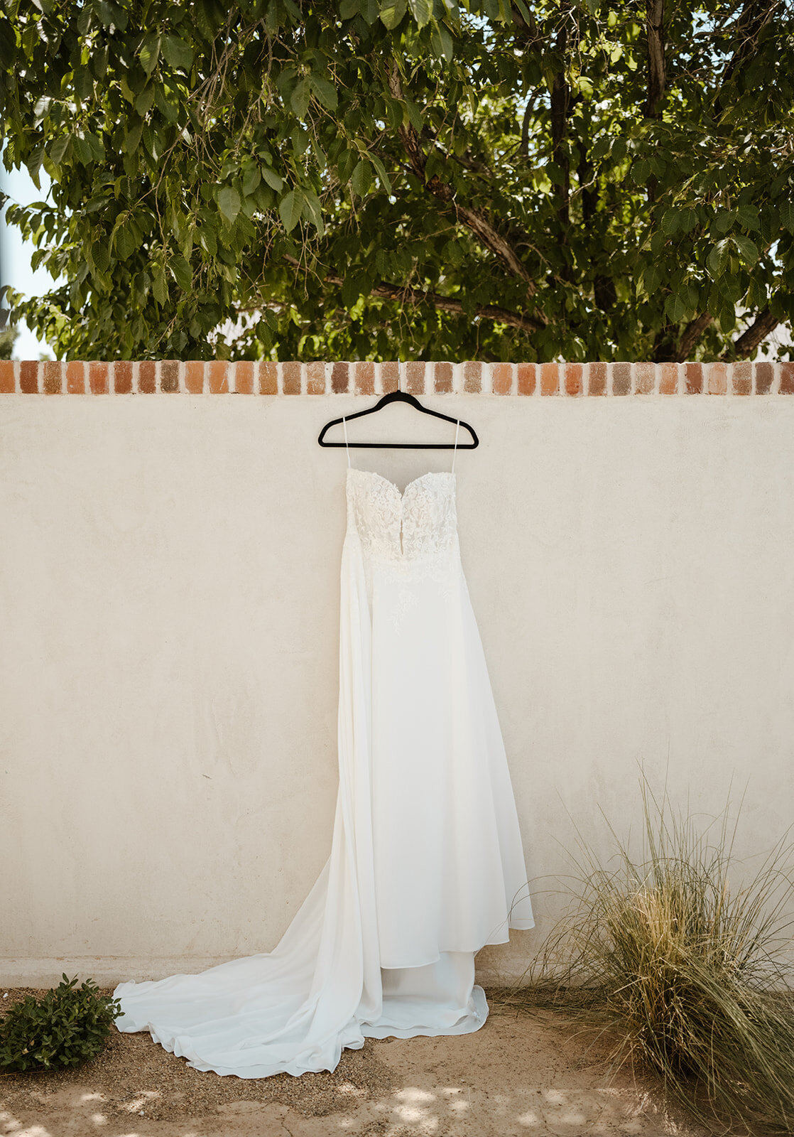 curiouscourtneysphotography102