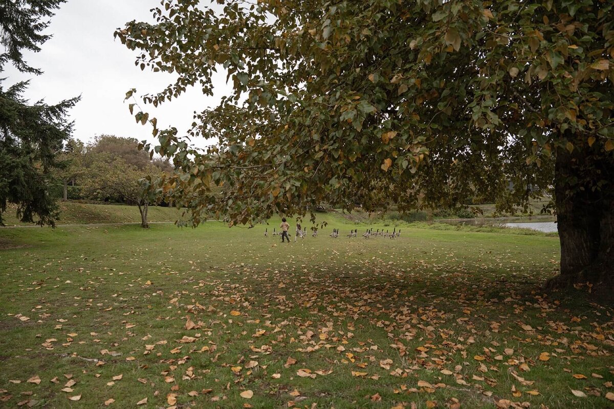 kids chasing ducks outside at park in fall