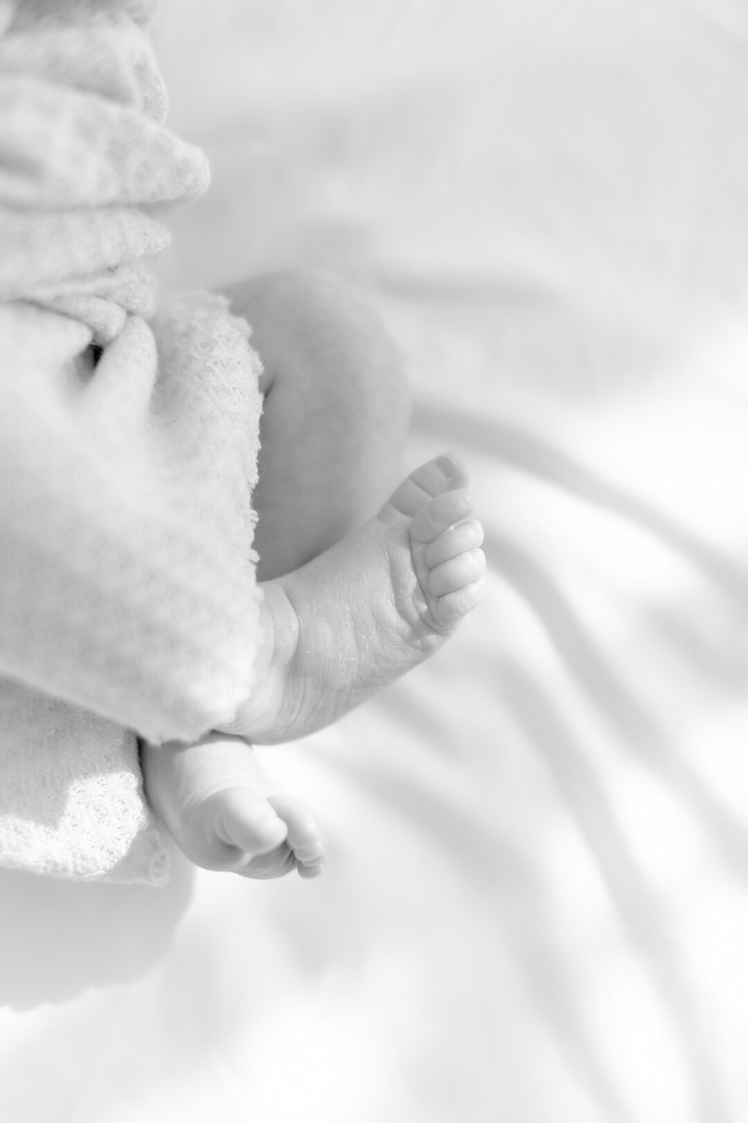 twin-newborn-photographer-houston-texas-21