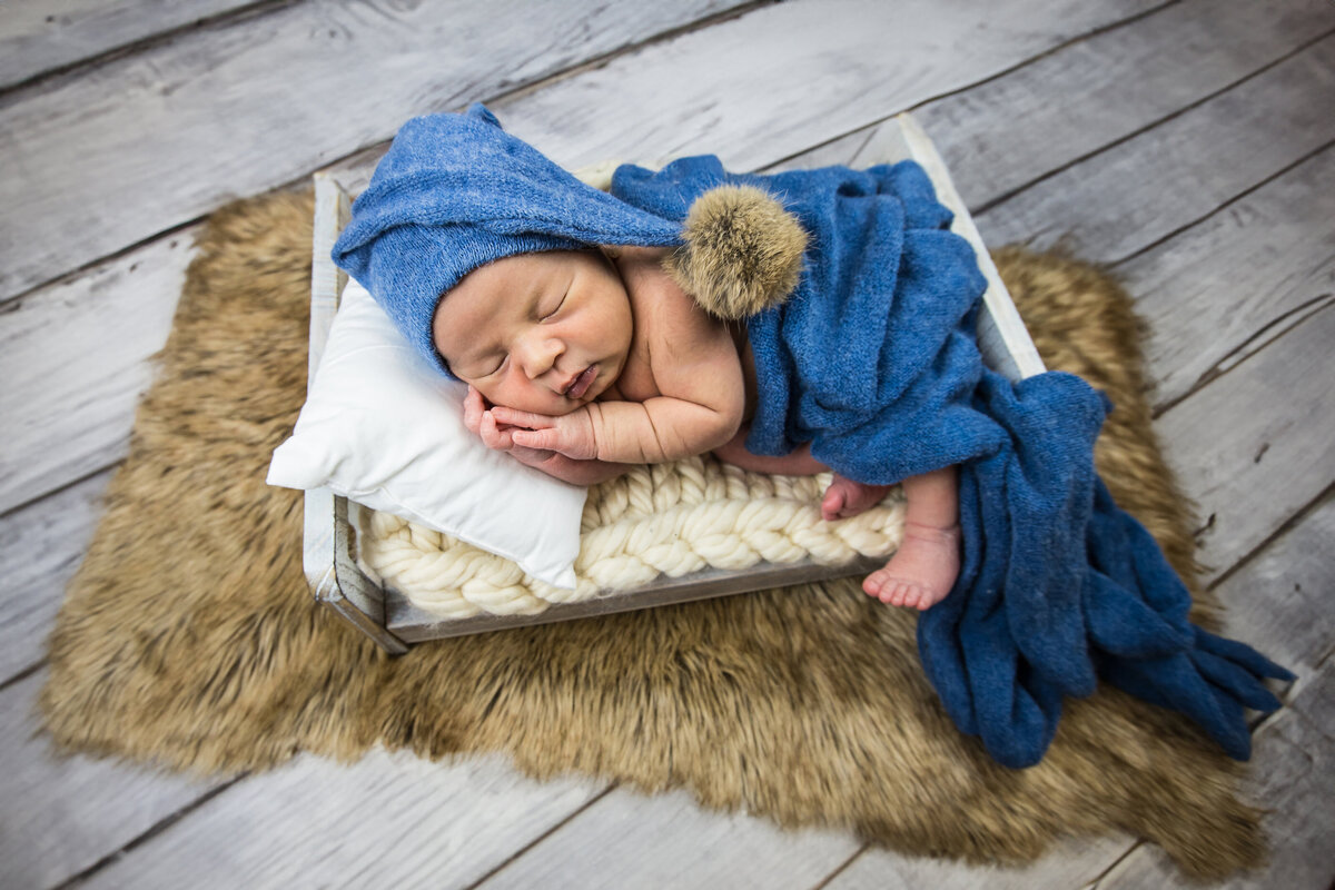 TSP_NoelNewborn_527