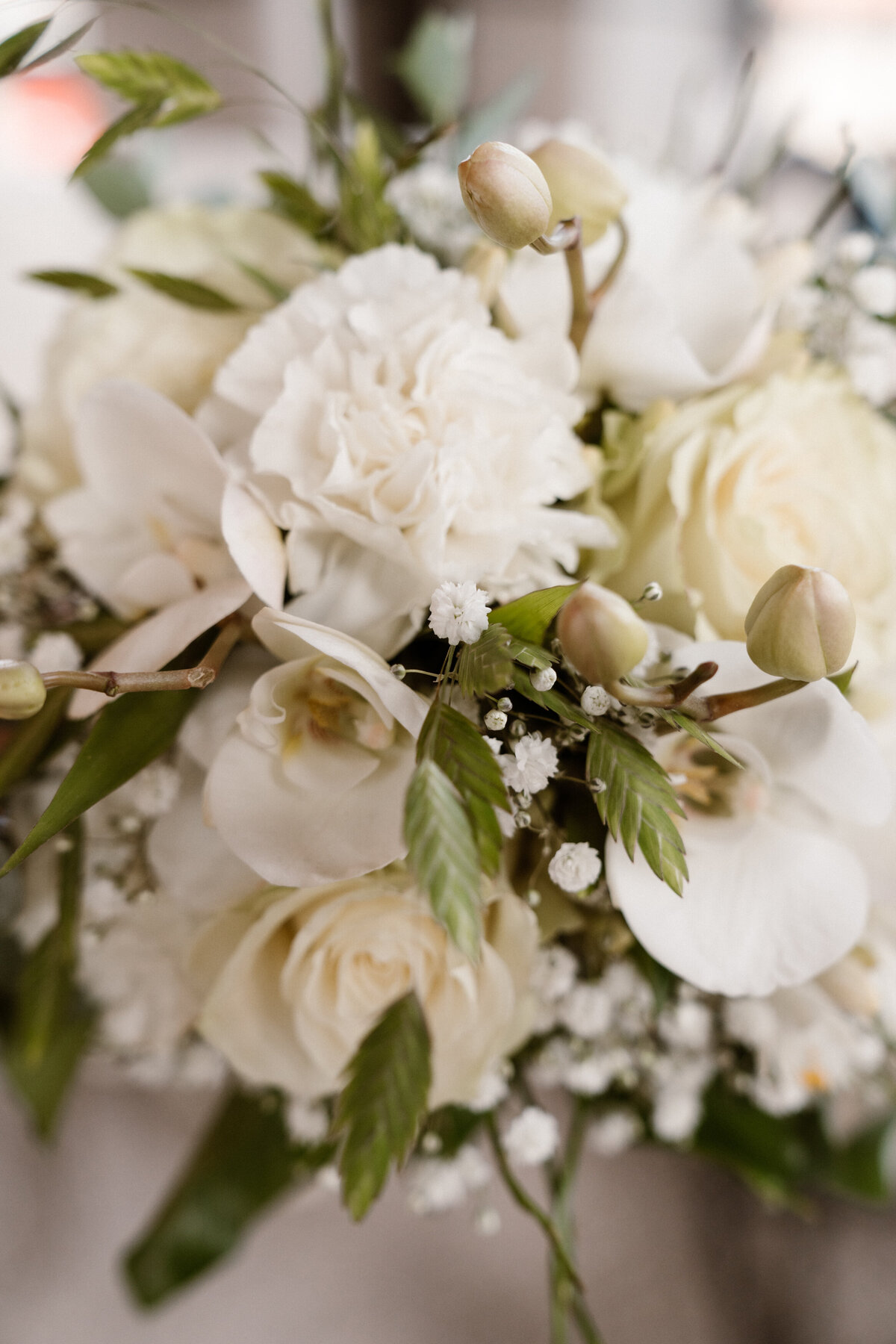 MonicaRomanielloPhotography -09614