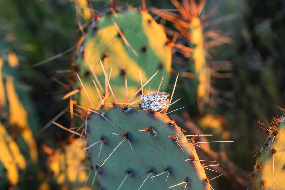 _Sedona_AZ_DANIELLE_HOLMAN_wedding_photography_0030
