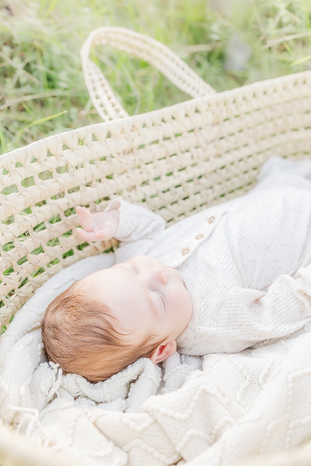 baby in moses basket during outdoor newborn photo session in Natick Massachusetts with Sara Sniderman Photography