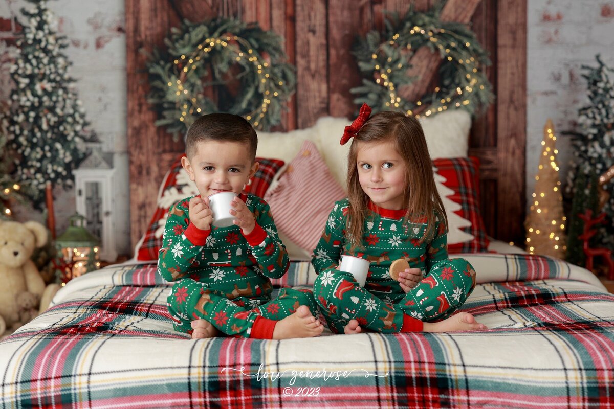 lehigh-valley-photographer-lori-generose-lg-photography-christmas-studio-mini-session-hamburg-pa