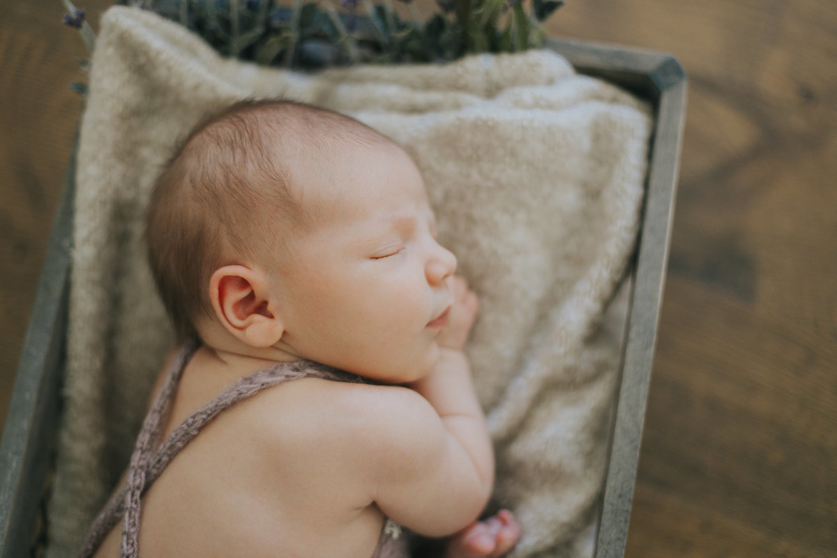 raleigh-newborn-photographers-Ella-0160