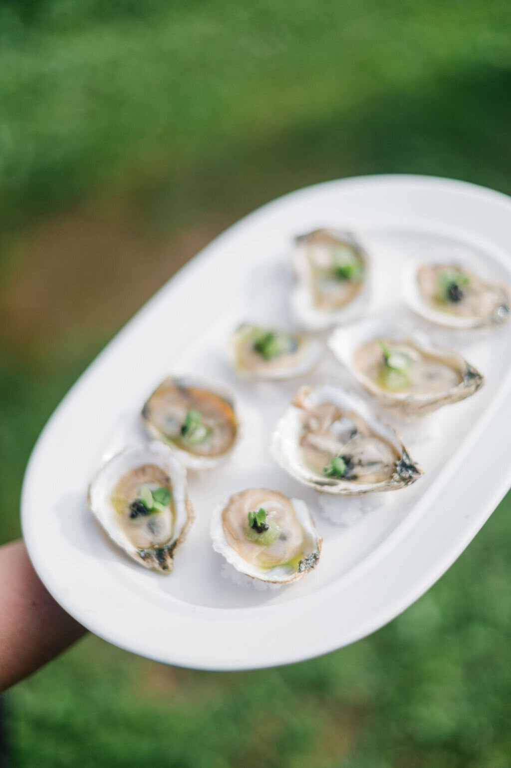 Wedding reception food seashells in a white plate