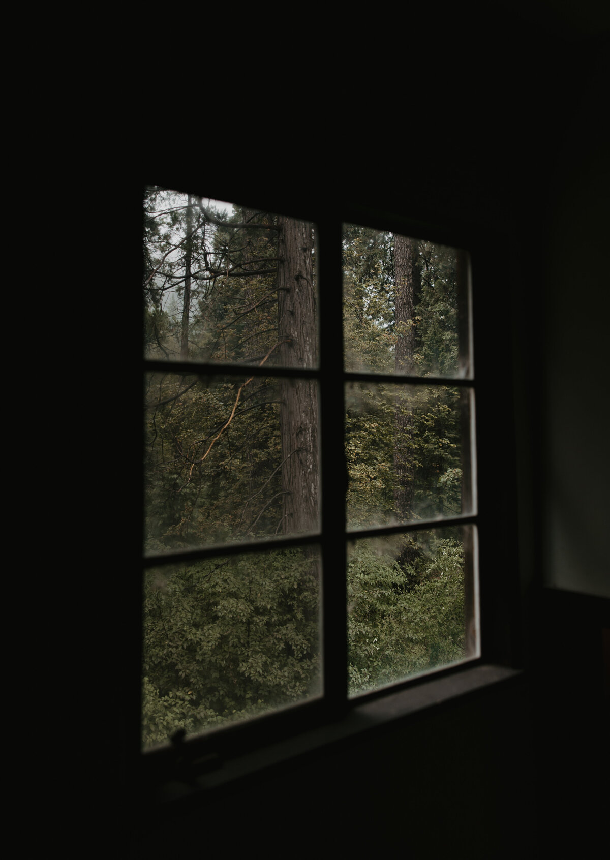 MountainTimePhotography-98