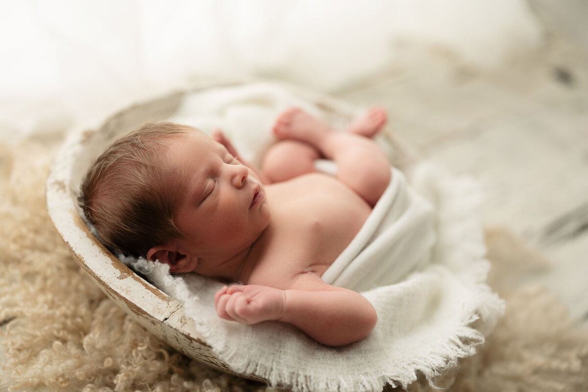 memphis newborn photography by jen howell 4