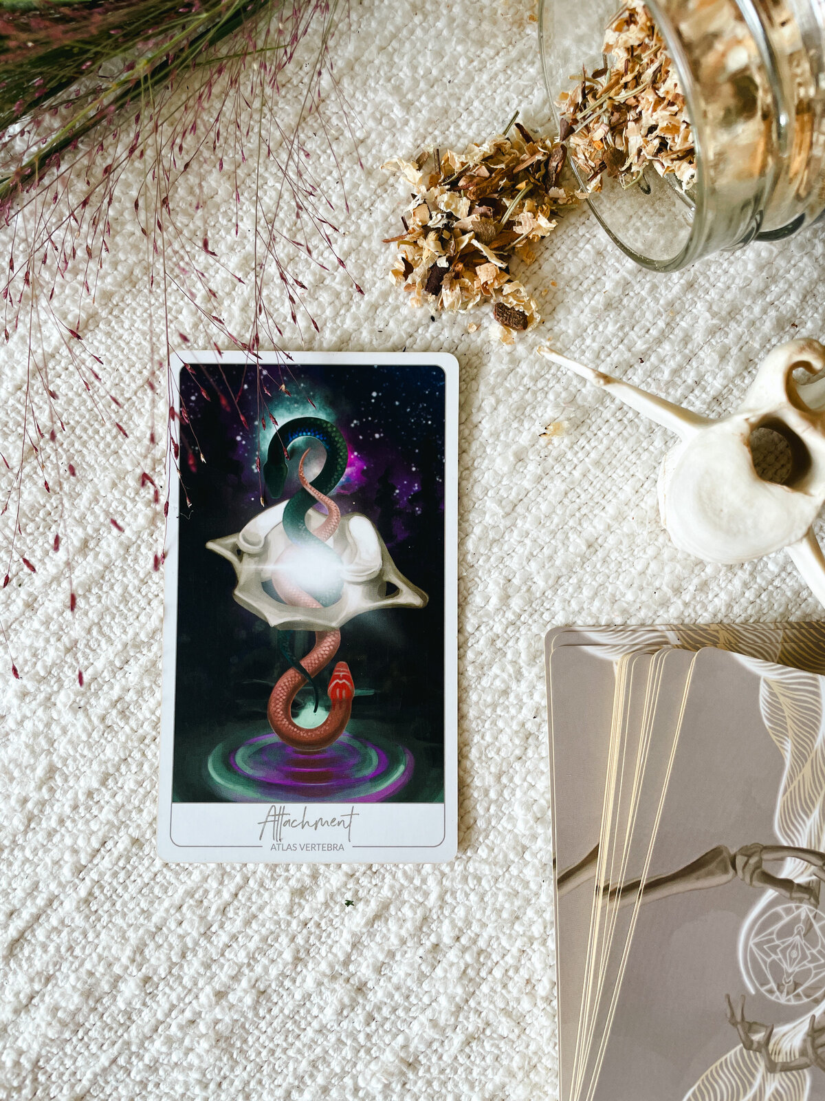 Close up of the "Attachment" Oracle Card showing the Atlas Vertebra suspended in the air with two snakes coils in and around it