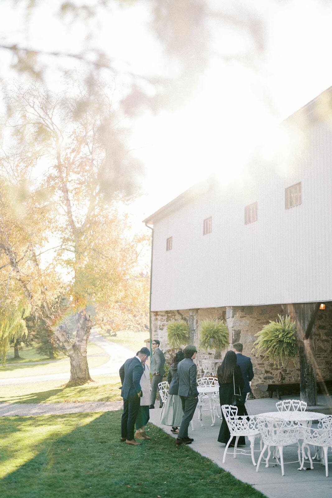 W11-Wedding-Photos-Caledon-Valley-Estate-Eleanor-and-Michael-2024-11-02-2500px-1134