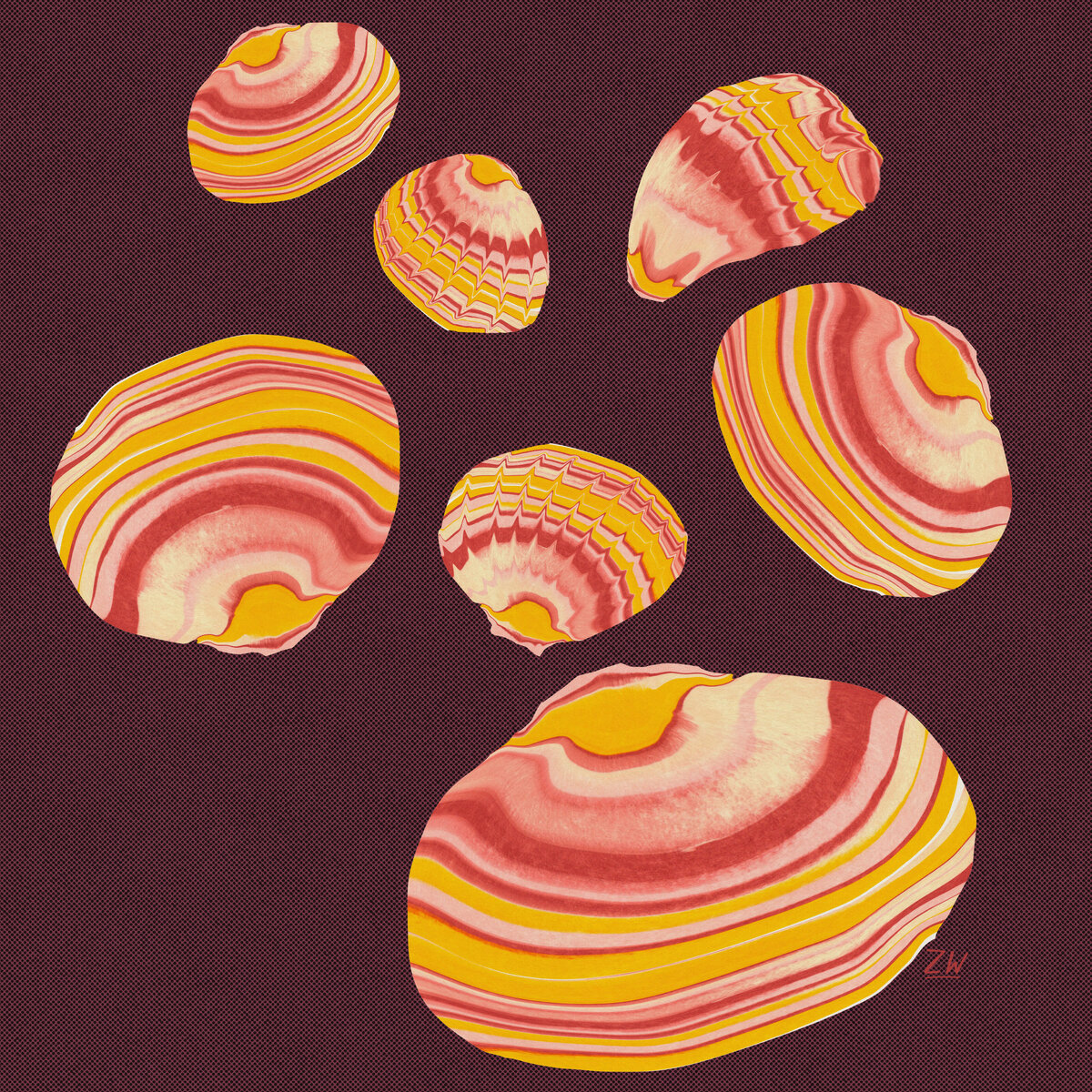 ZW_2024_StripeShells_1