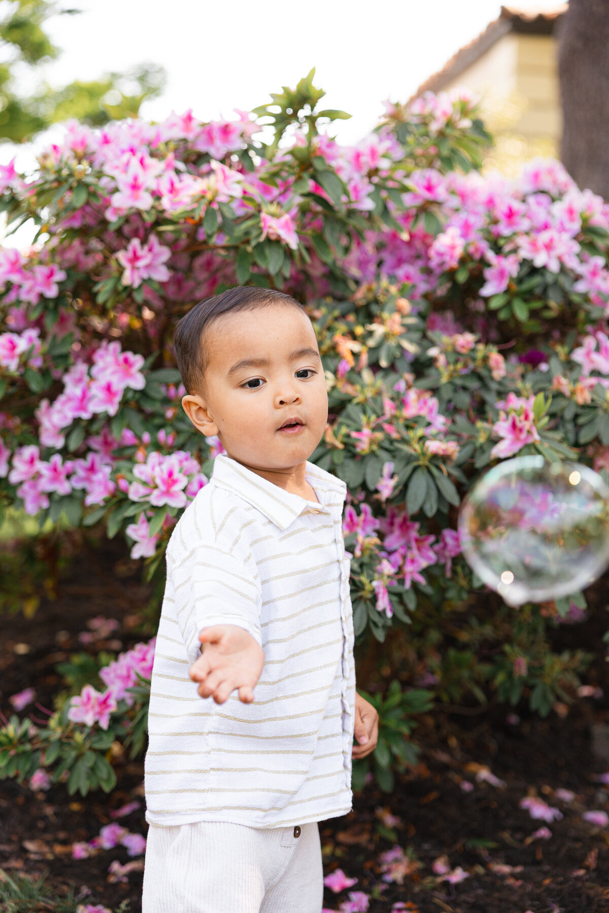 Piedmont Park Japanese Teahouse_Bay Area Family Photography_Valarie Duran Photography-7816