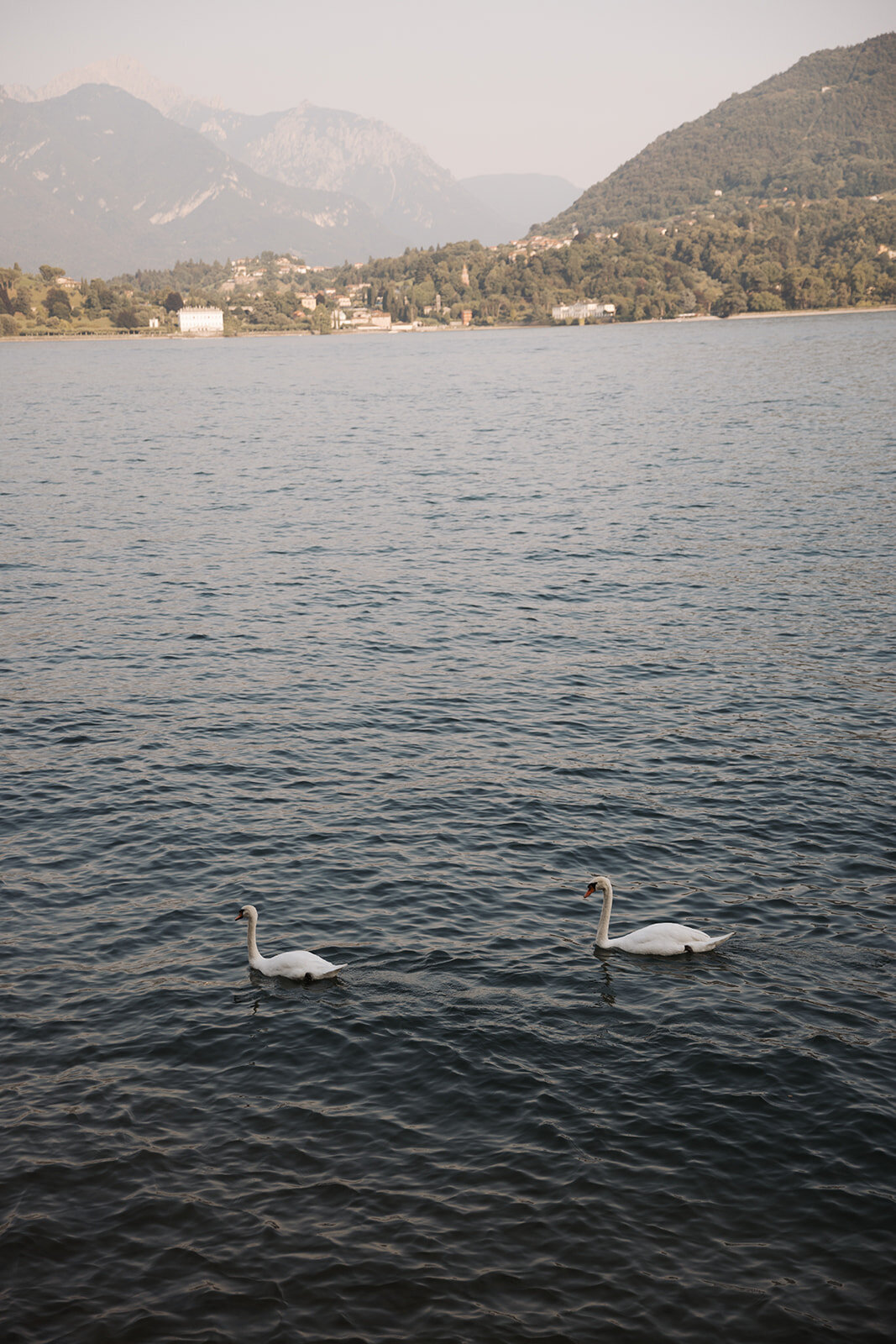 Taylor & Jonathan Elopement _ cait swithers photo + films-1