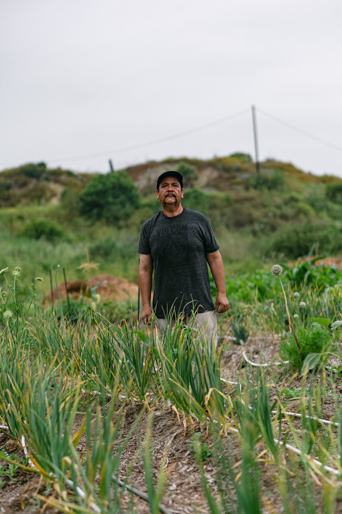 Leap-Lab-Science-Farm-Ventura-California-Santa-Paula-Non-Profit-0022