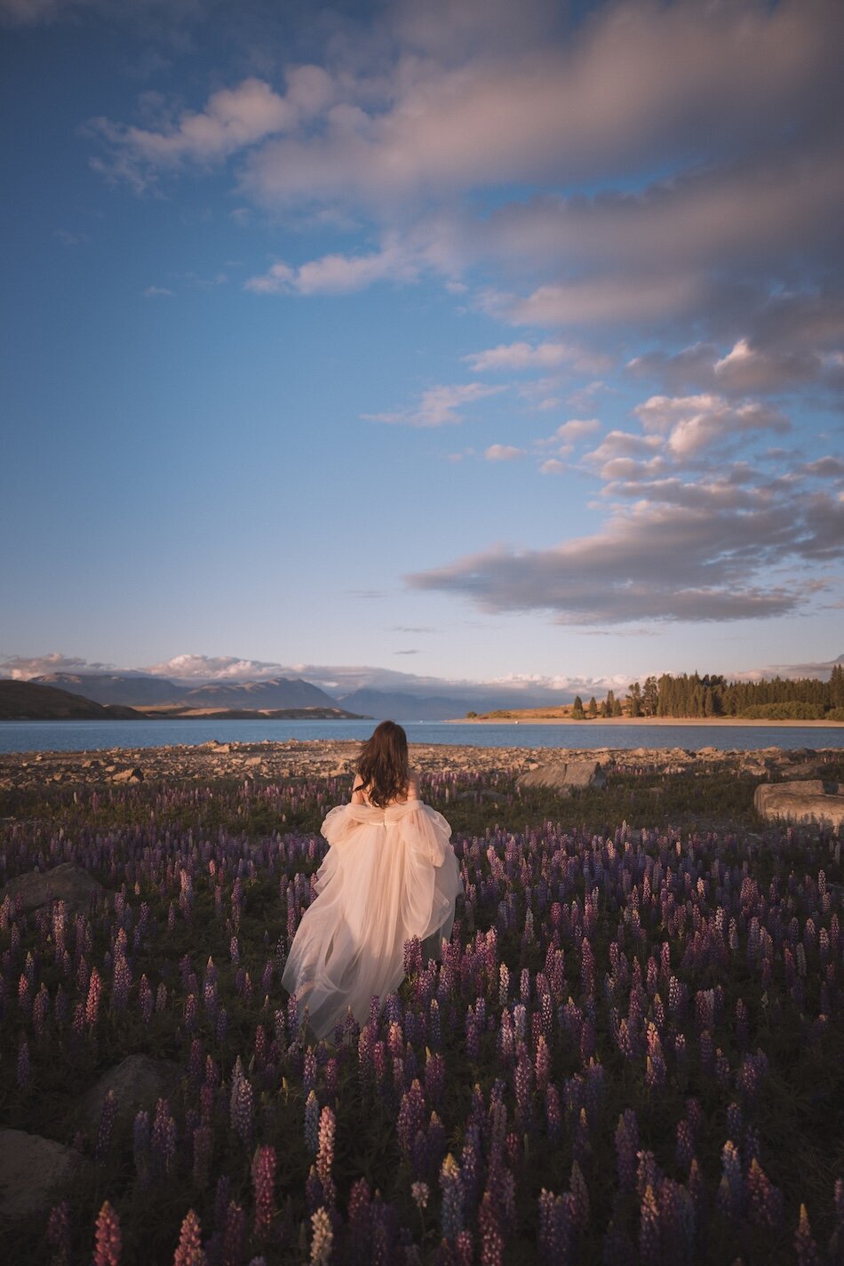 Pre-wedding photoshoot, the lupins, Lake Tekapo. Galia Lahav Haute Couture gown.