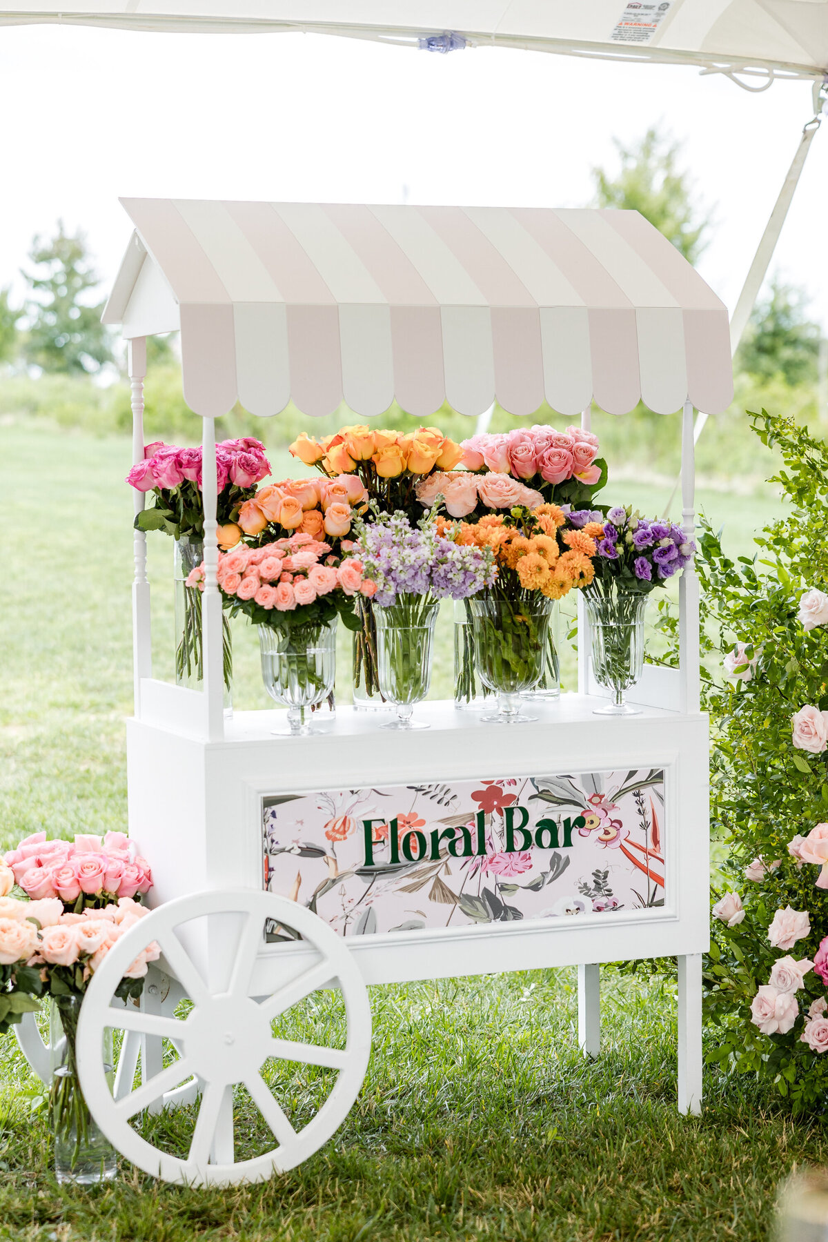 Baby in Bloom Ogunwole  Iris Mannings Photography-85