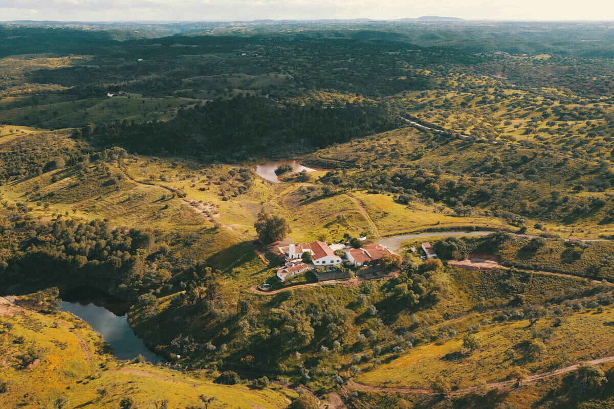 63750475c3d120843ff48d7a_quintamarugo-landmark-1200w-tny