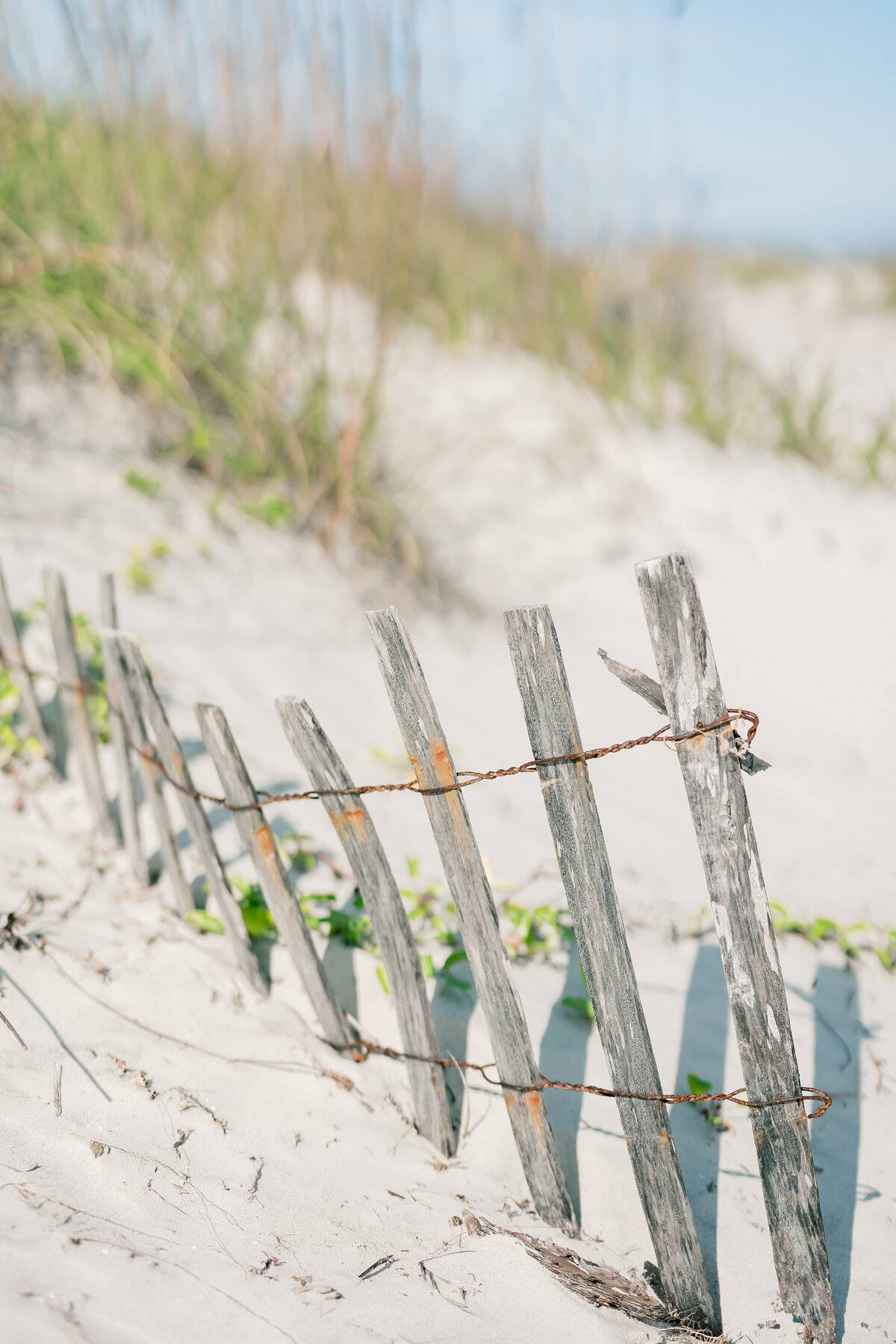 ENP - Kolby & Taylor - Hilton Head Island Wedding - EMILYS FAVORITES-43