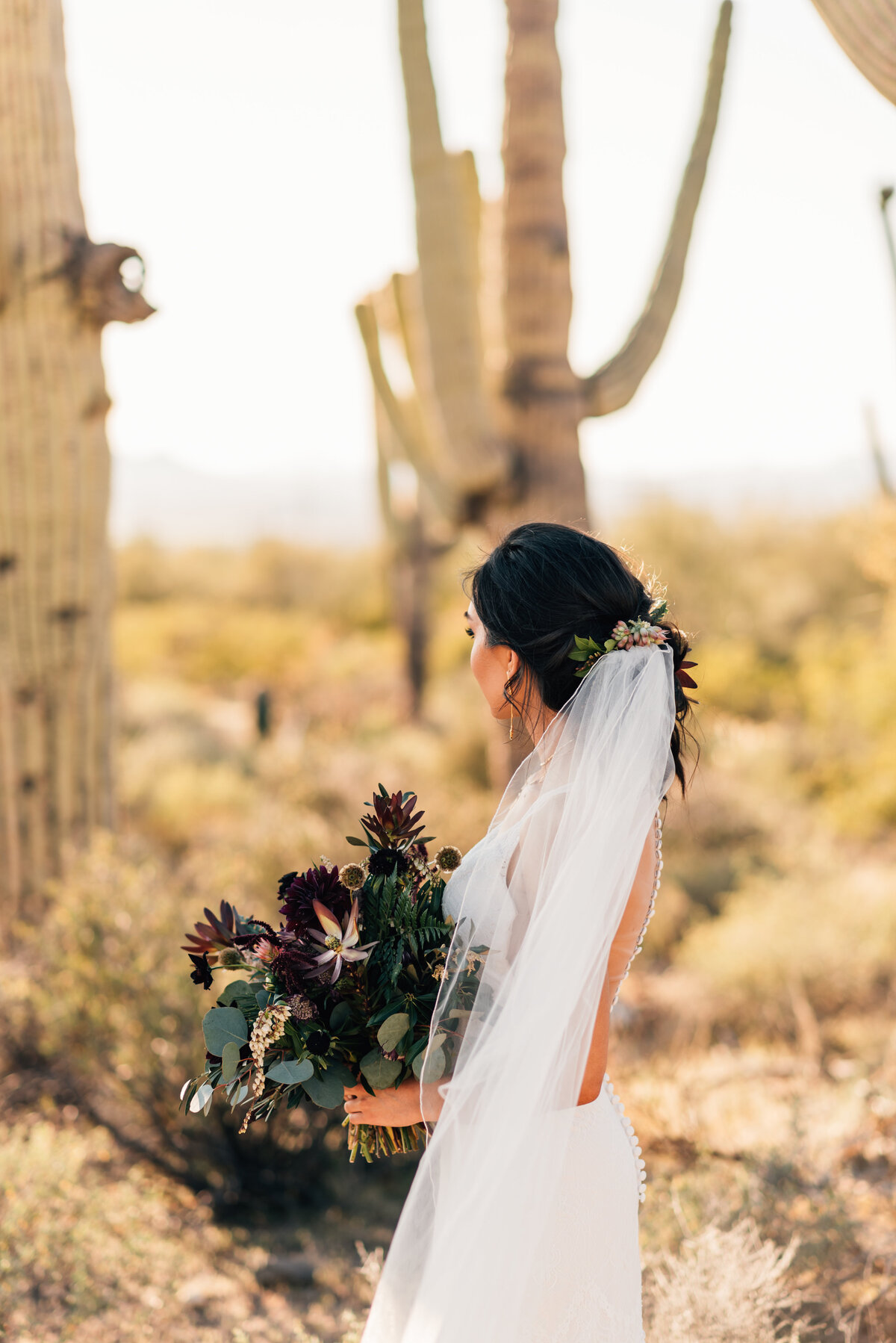 AZ Desert Wedding-7