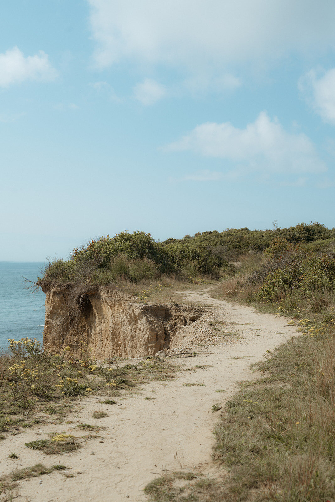 Suzy Anderson Photography_-28