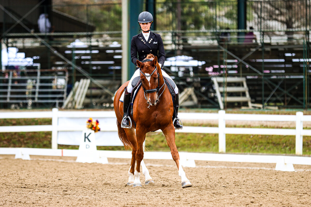 A chestnut horse doing a half pass during a dressage test at horse show in Conyers, GA.