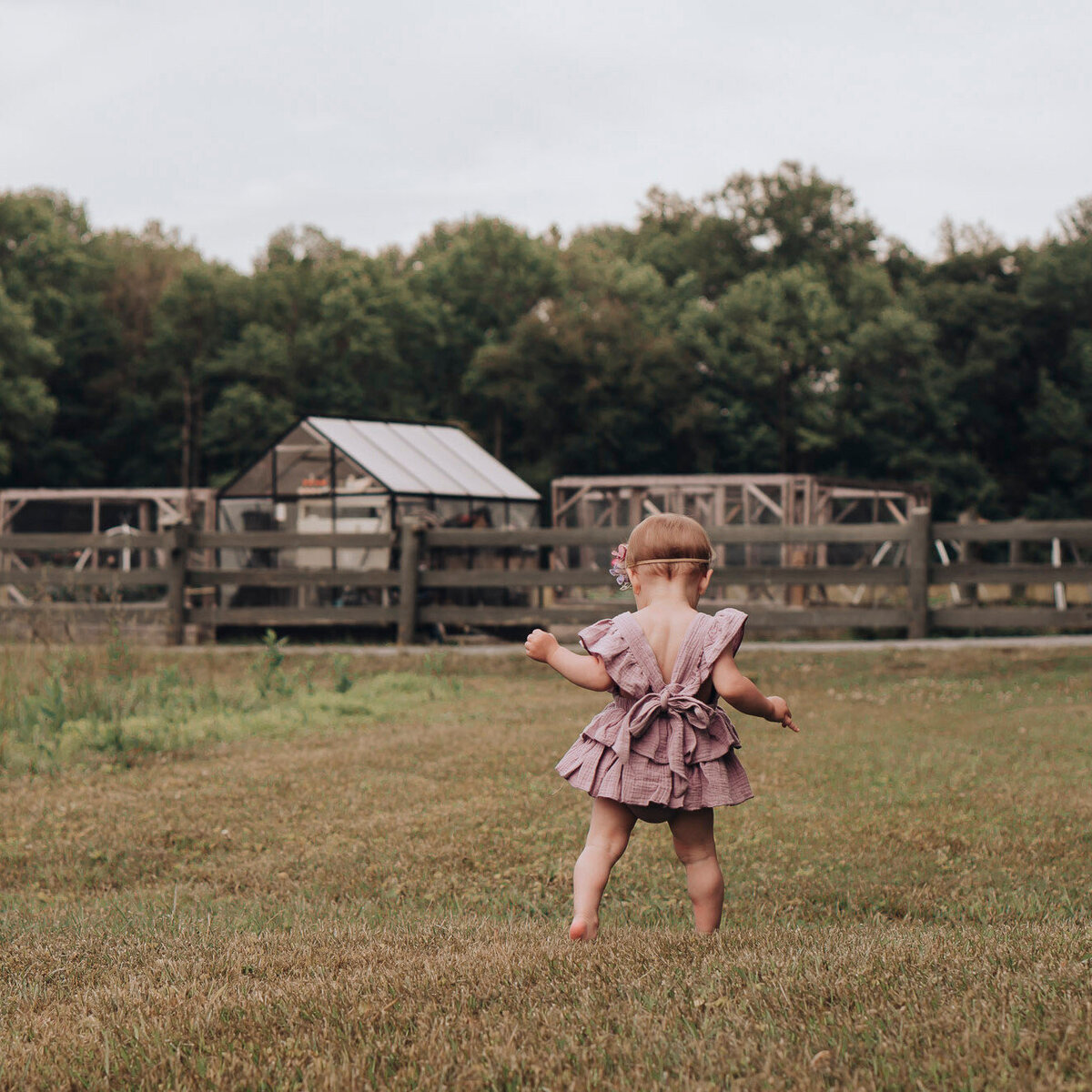 toddler in a field near a barn