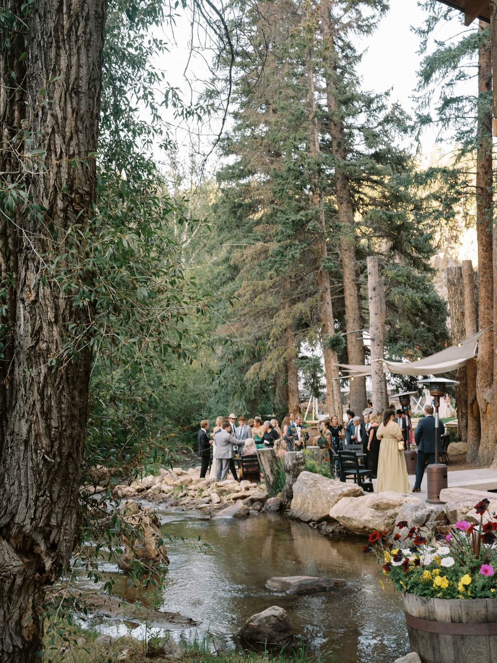 sarahharvey_abbenhauswedding402918