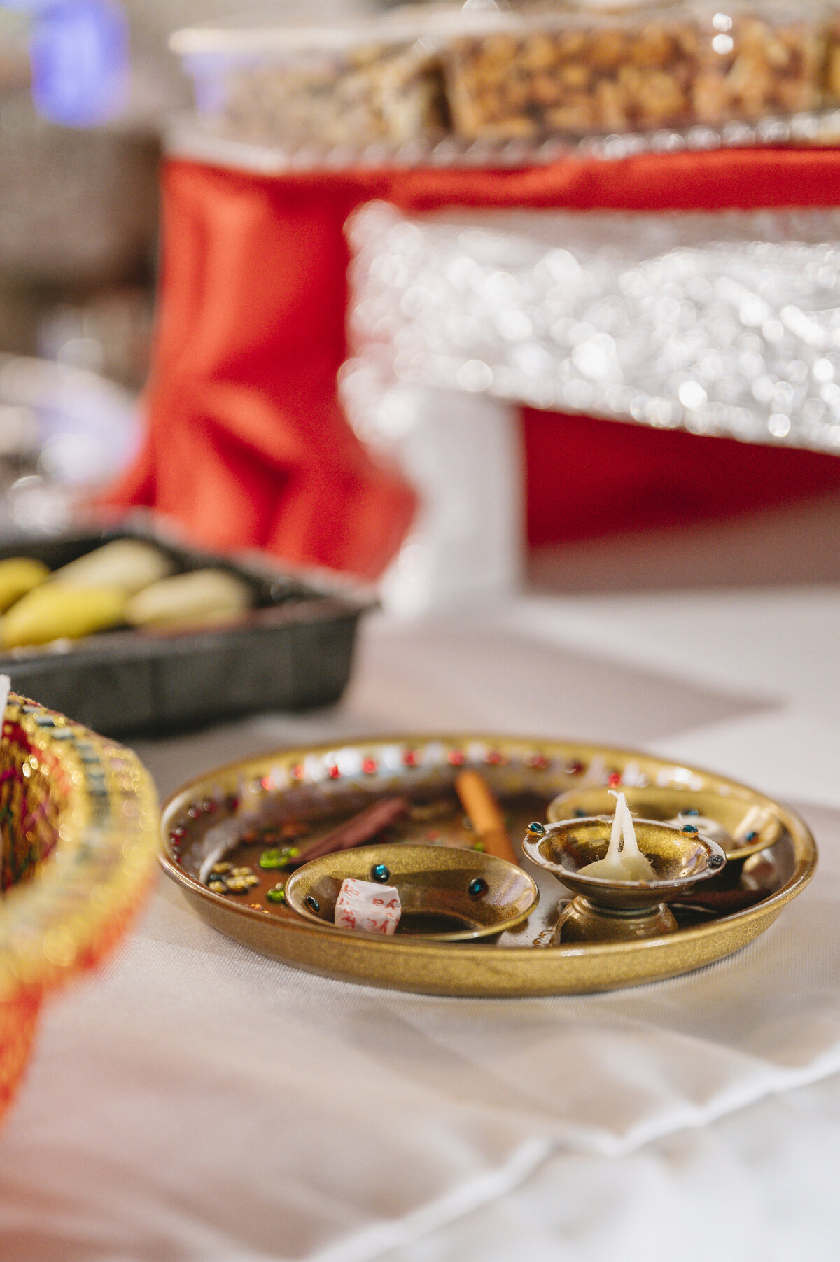 Savannah Indian Wedding Photographer