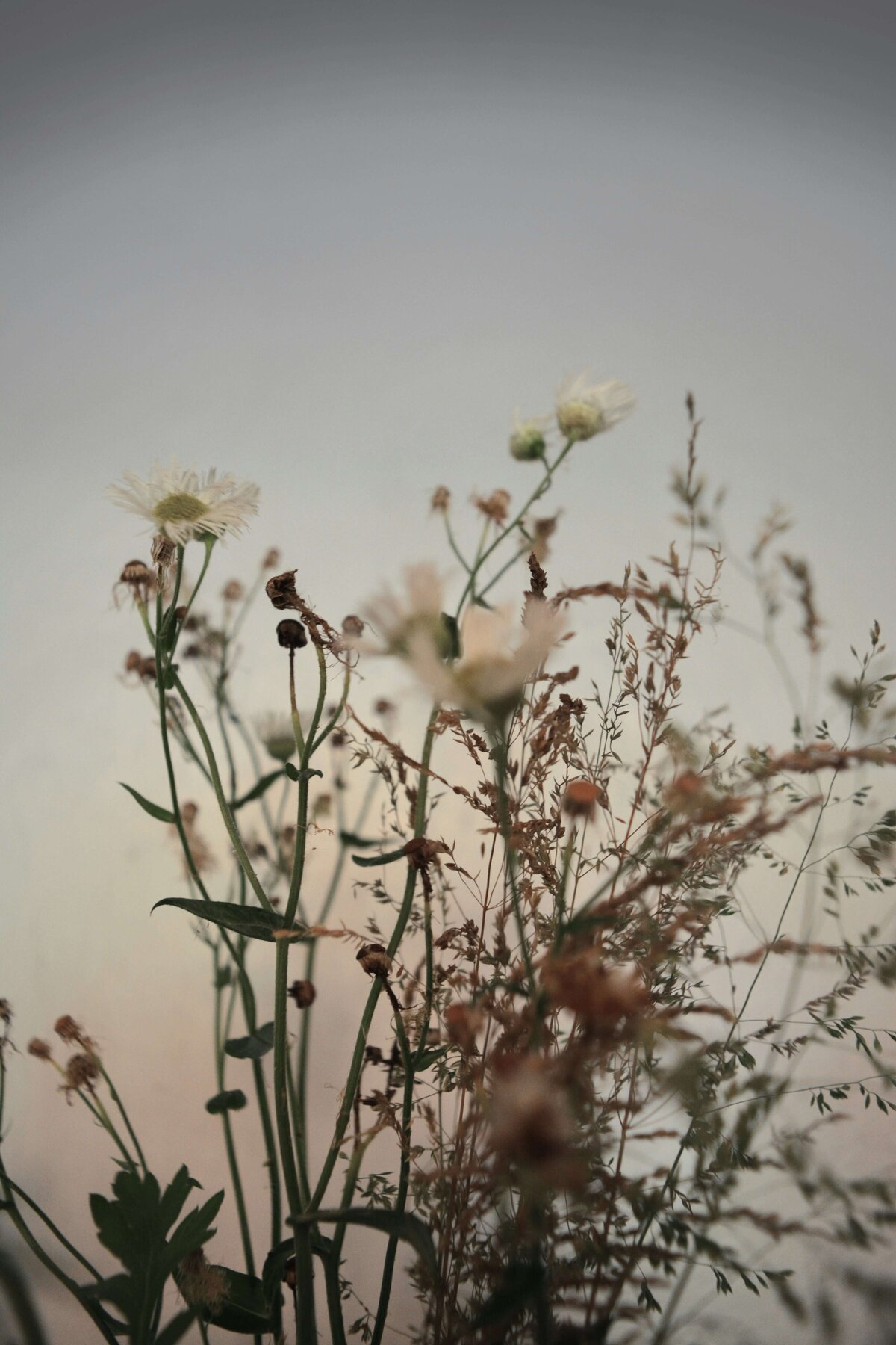 christina-deravedisian-7kCRSNEGADk-unsplash