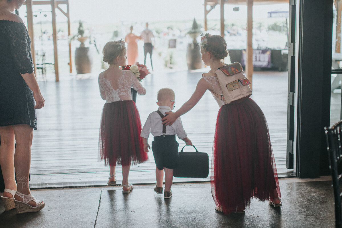 ceremony _ alaynna ann schwartz _ harpors vinyard _ iowa photographer _ playlife photography_0089