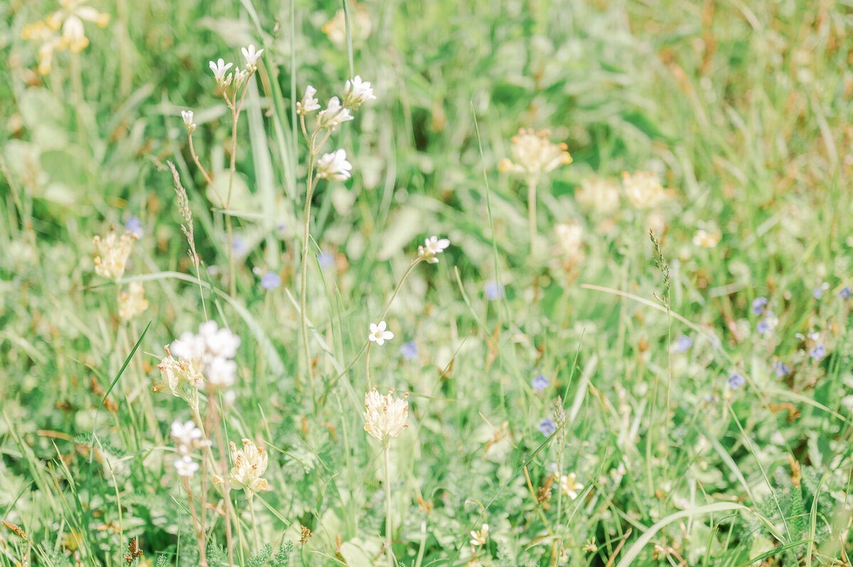 Engagement-shoot-picnic-in-France-1-28
