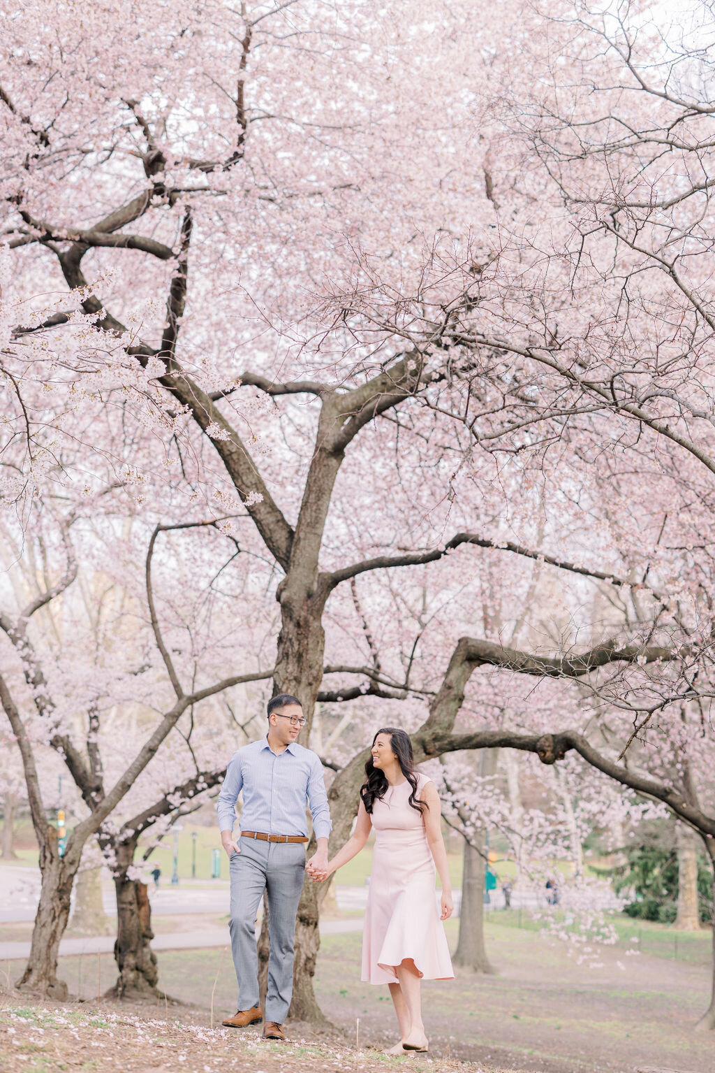Central Park Cherry Blossom Engagement session 0482