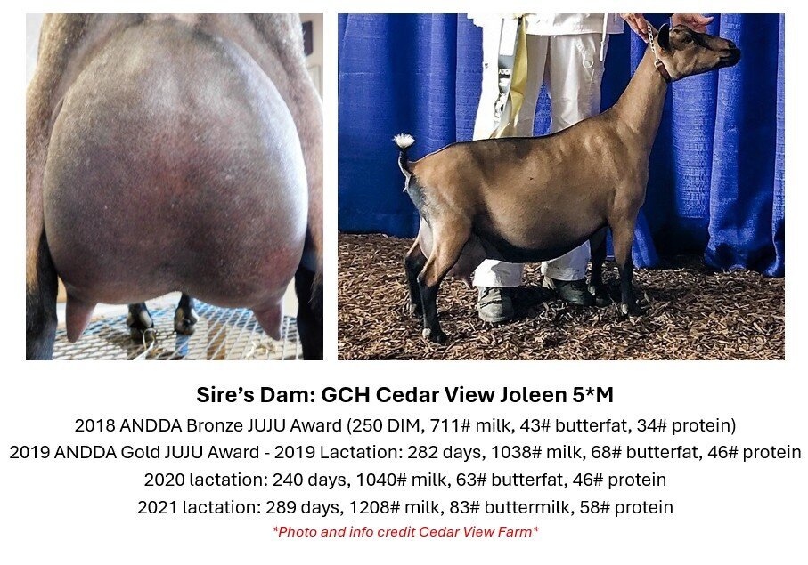 sire dam info