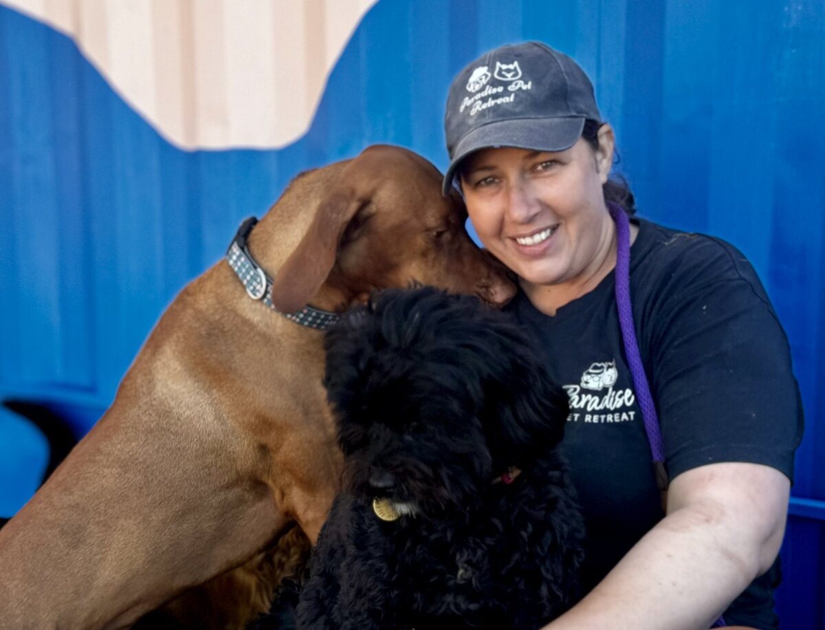 Doggy Daycare Toowoomba