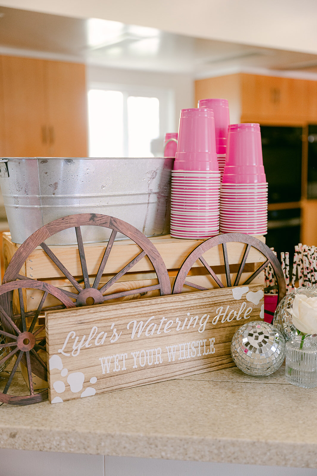 First Rodeo Kids Birthday Party